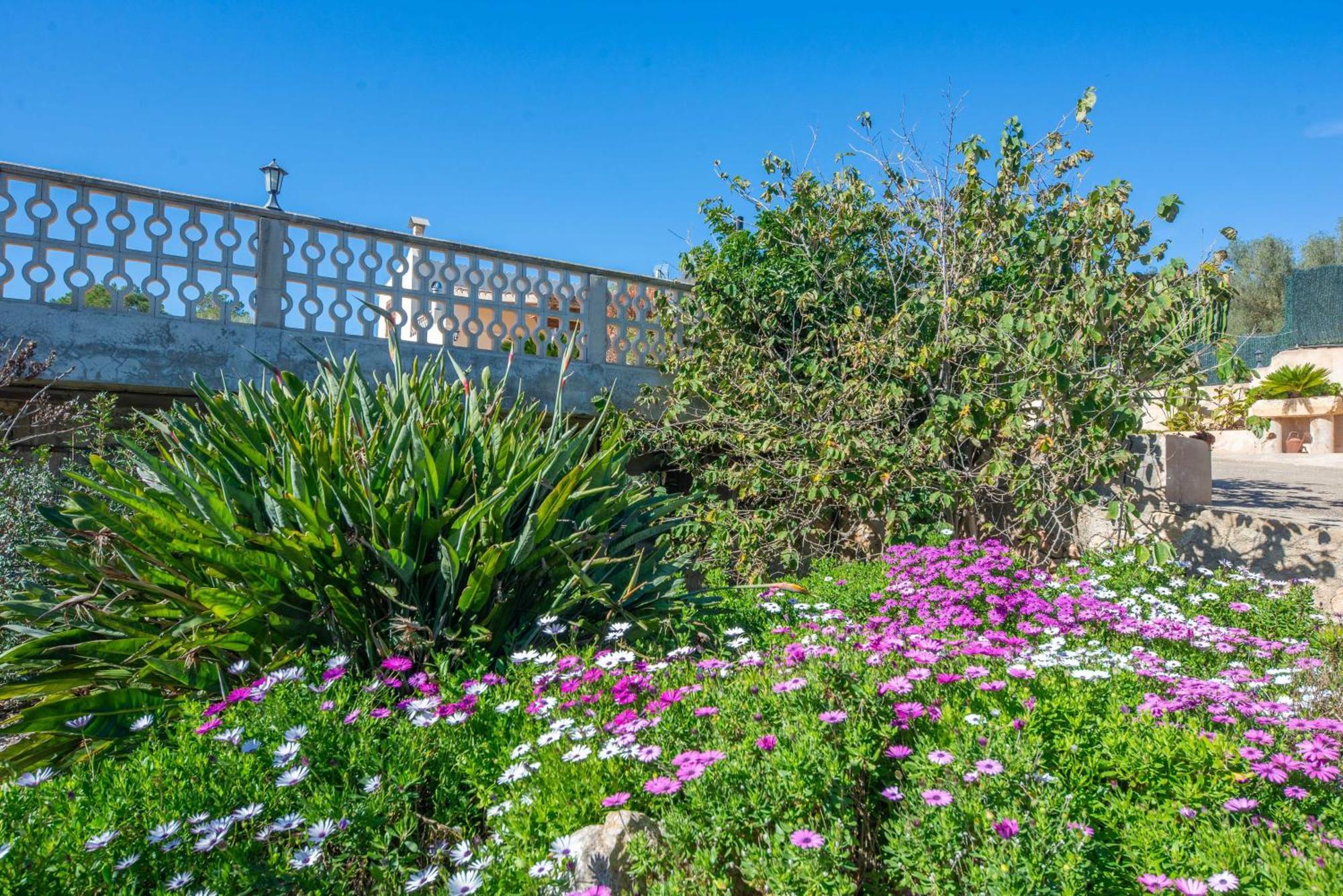 Vista Sol Villa Ariany Exterior photo